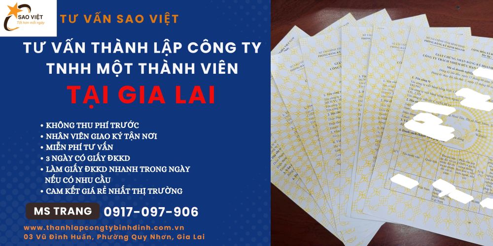 Thành Lập Công Ty TNHH Một Thành Viên – Giải Pháp Khởi Nghiệp An Toàn Và Hiệu Quả – Cẩm Nang Đầy Đủ Từ A Đến Z